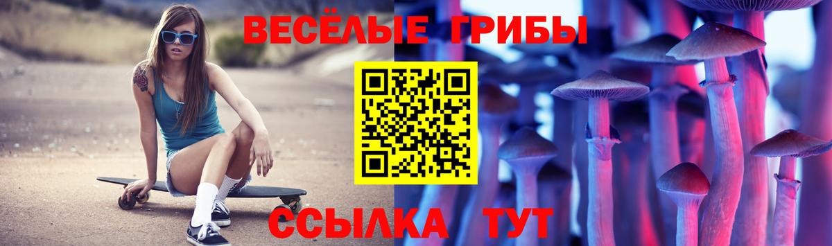 Псилоцибиновые грибы мицелий  Вход с VPN  Вичуга 